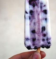Berry Yogurt Ice Pops