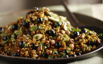 Curried Wheatberries with Blueberries