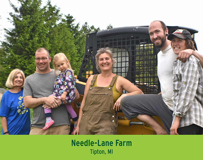 Needle Lane Farm
