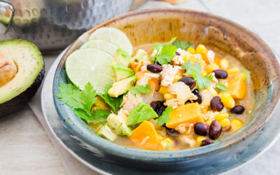 Chipotle Lime Chicken and Veggie Soup