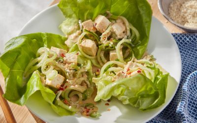 Cold Sesame Cucumber Noodles